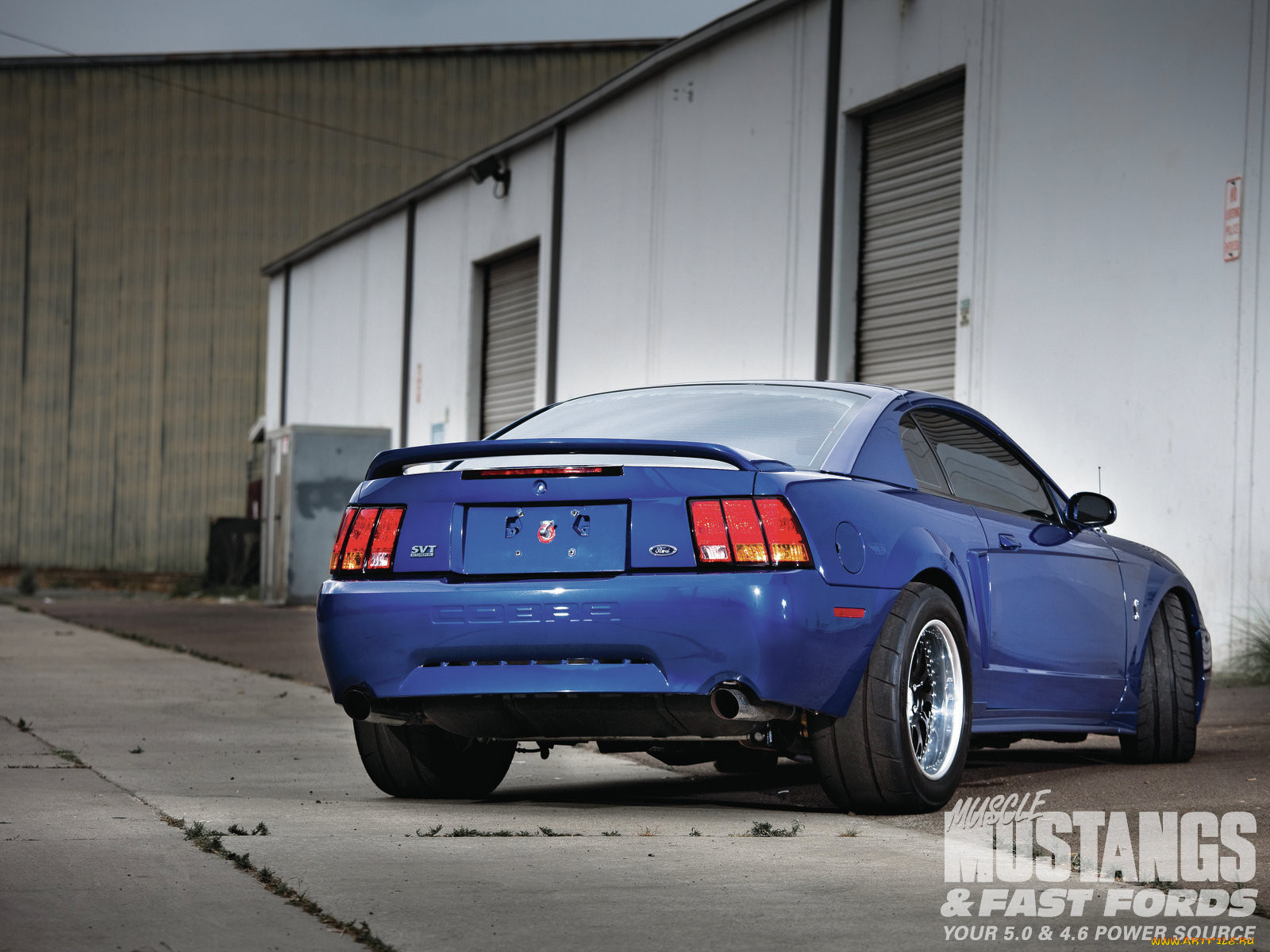 1999, ford, mustang, cobra, 
